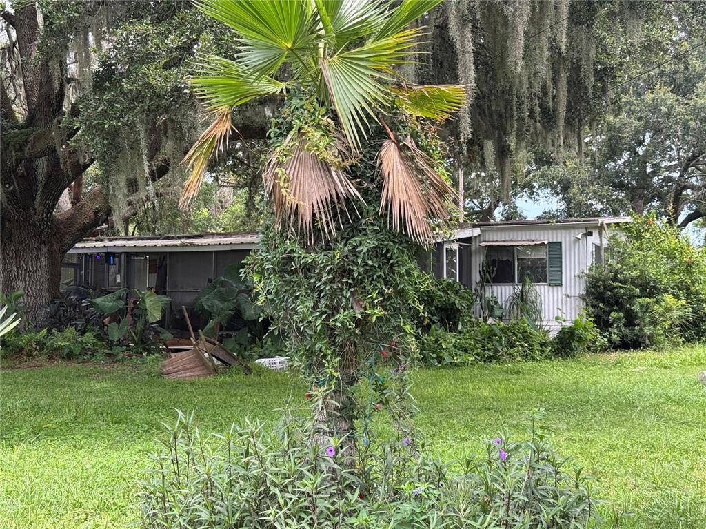 13920 Haynes Road Dover, FL 33527 - Photo 1 of 1 a view of a house with a yard and sitting area