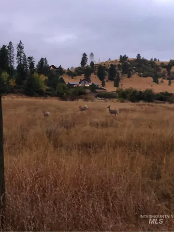 $268,900 | Lot 31 Cross Timber Loop Garden Valley, Garden Valley, ID 83622