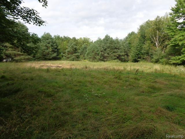 1819 Maple Road Smiths Creek, MI 48074 - Photo 5 of 18 2014-08-27 09.56