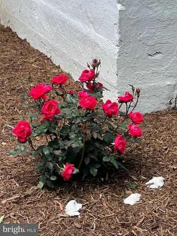 a view of a porch with furniture and a yard