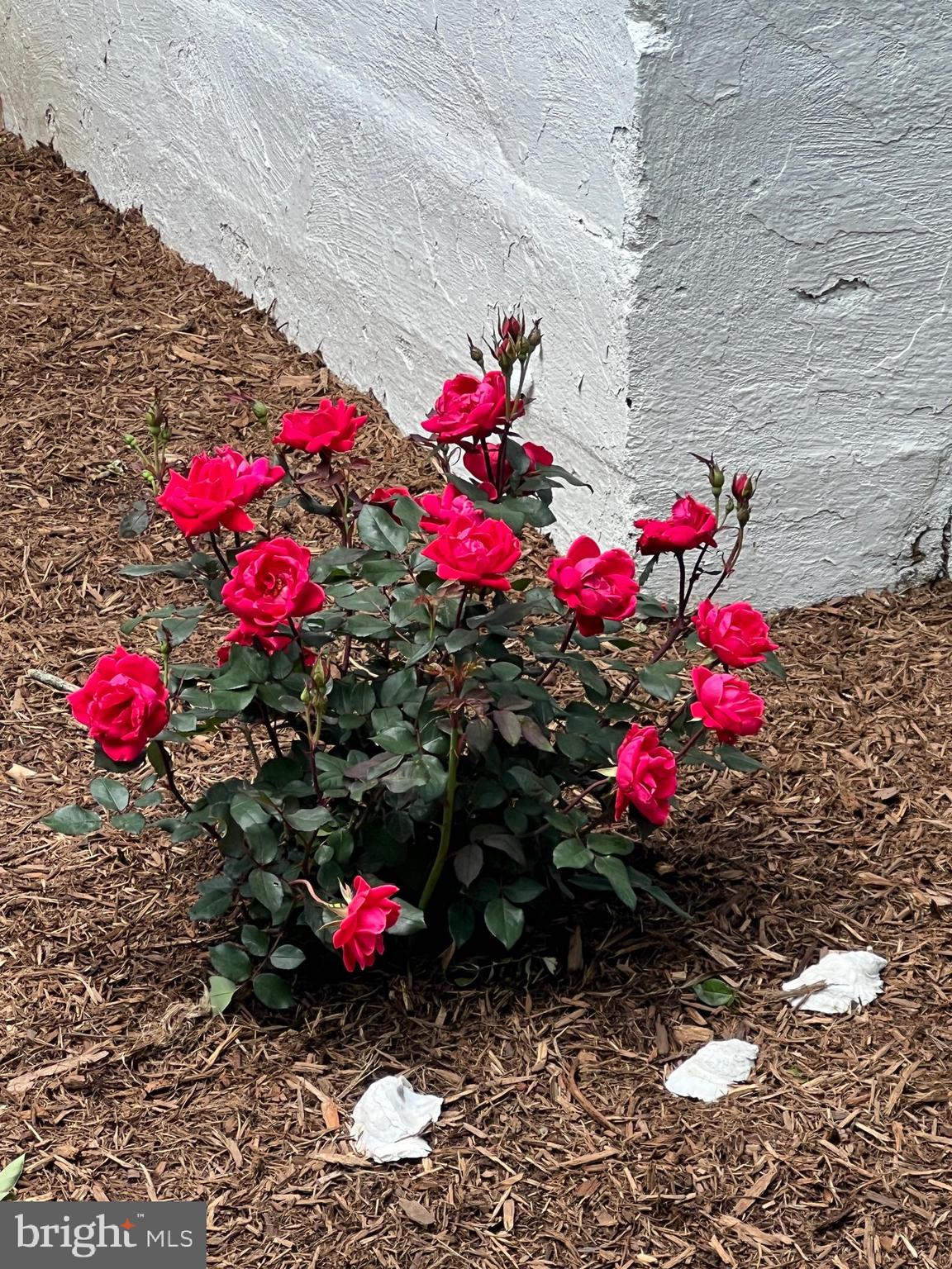 7308 Highbridge Road Bowie, MD 20720 - Photo 14 of 70