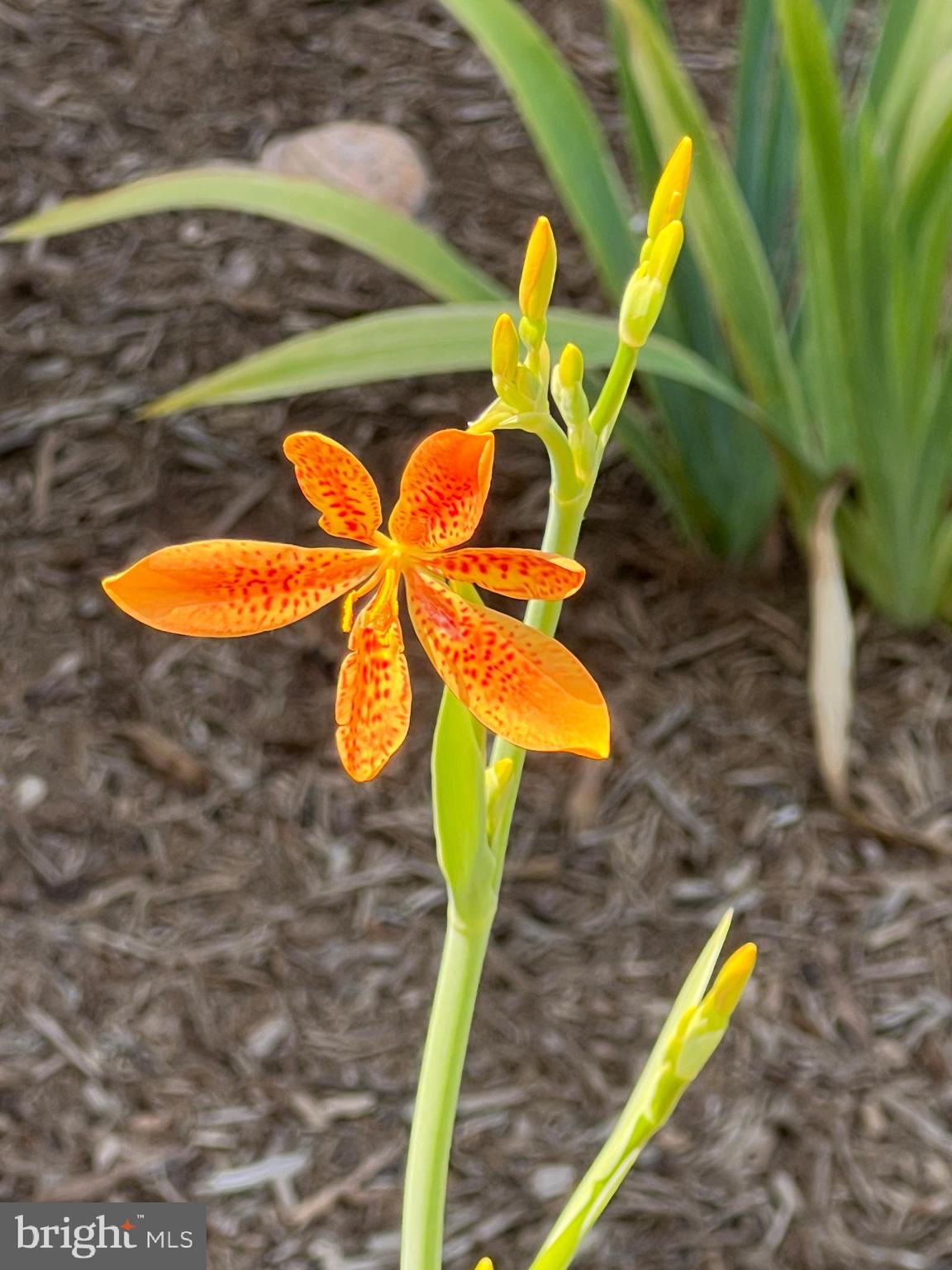 7308 Highbridge Road Bowie, MD 20720 - Photo 15 of 70