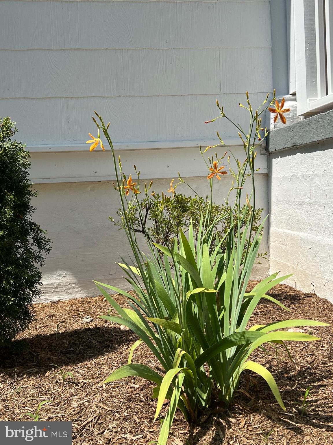 7308 Highbridge Road Bowie, MD 20720 - Photo 16 of 70