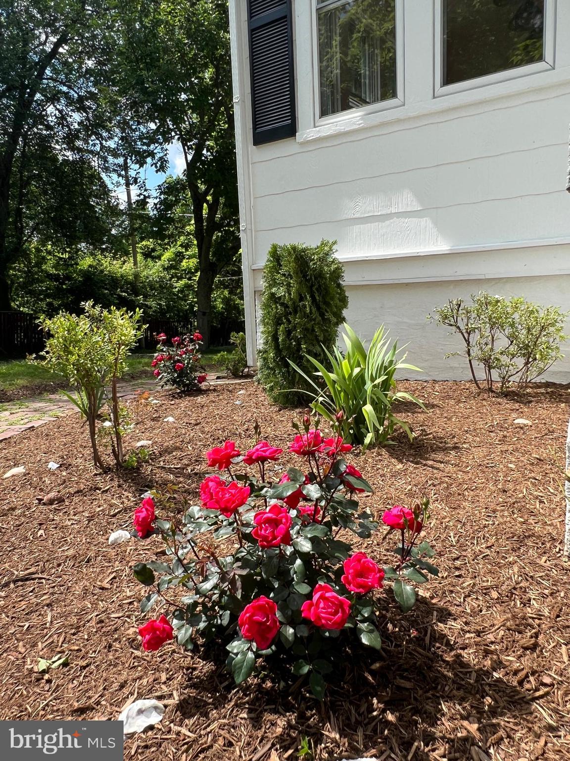 7308 Highbridge Road Bowie, MD 20720 - Photo 18 of 70 a view of a potted flower in a yard