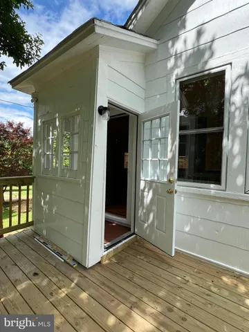 a view of a garden with a tree