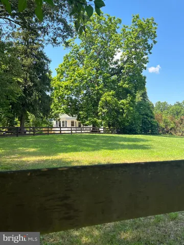 a view of park benches sitting below a green tree