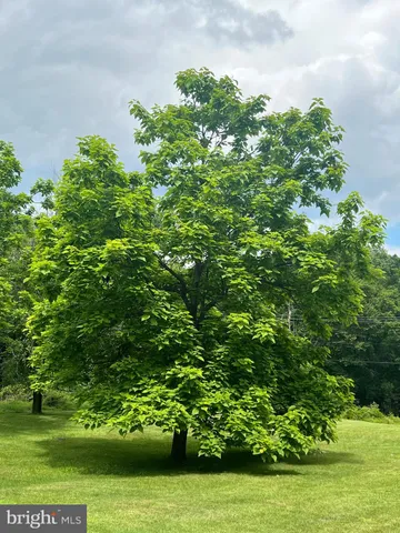 a view of a backyard with chair and table