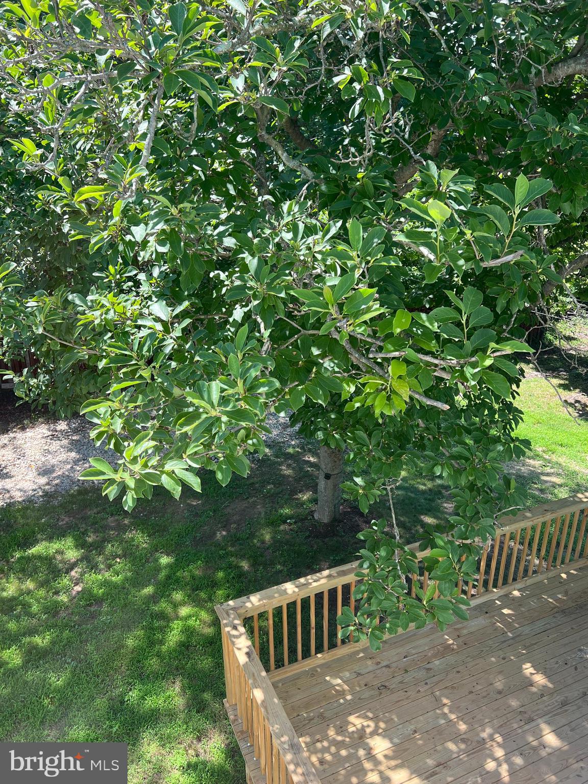 7308 Highbridge Road Bowie, MD 20720 - Photo 9 of 70