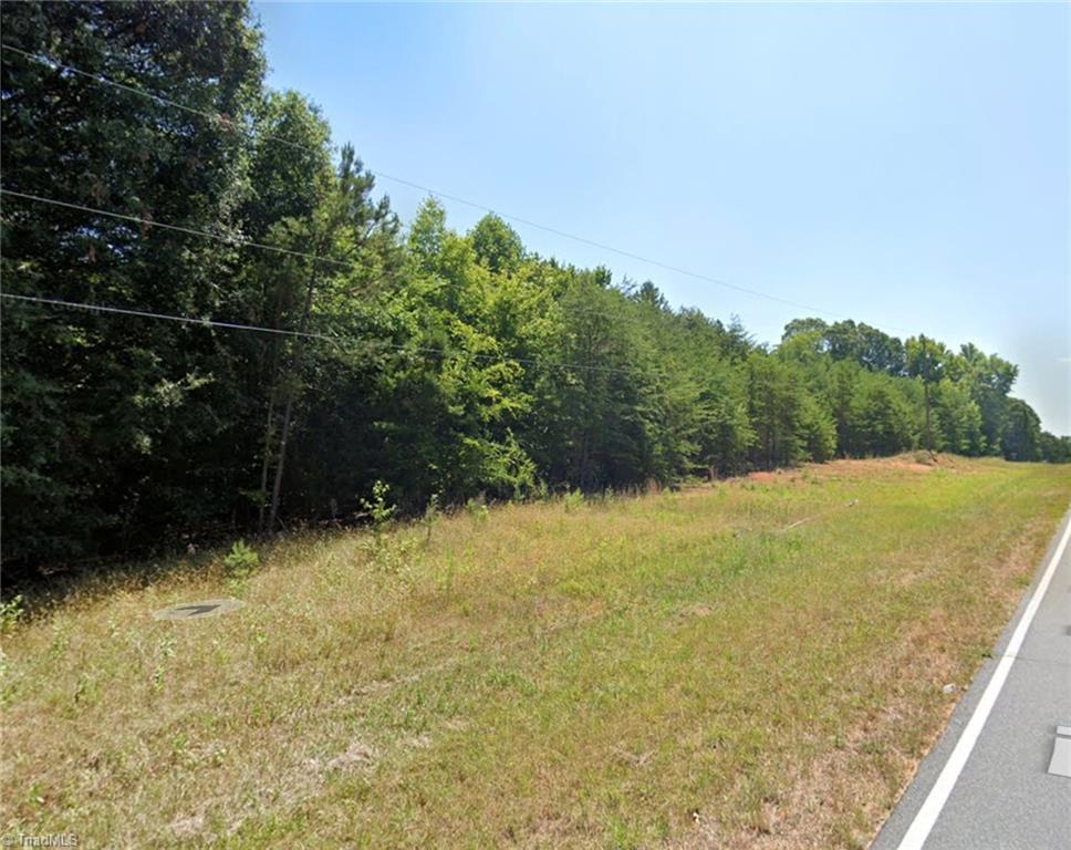 0 Tigers Den Road Randleman, NC 27317 - Photo 4 of 6