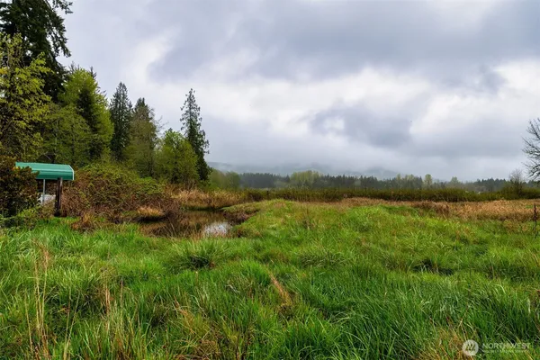 a view of a lake with green space