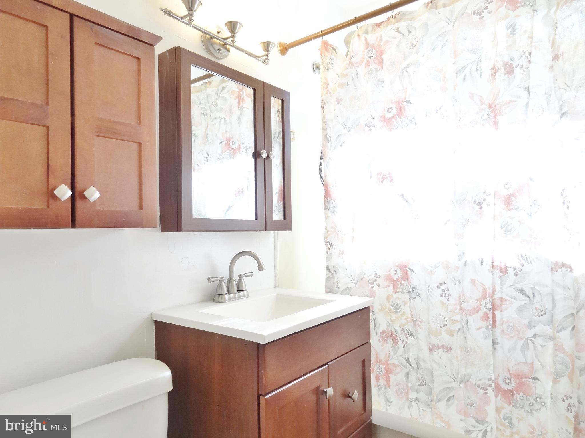 36 Ridge Road, Unit A Greenbelt, MD 20770 - Photo 10 of 14 Bathroom
