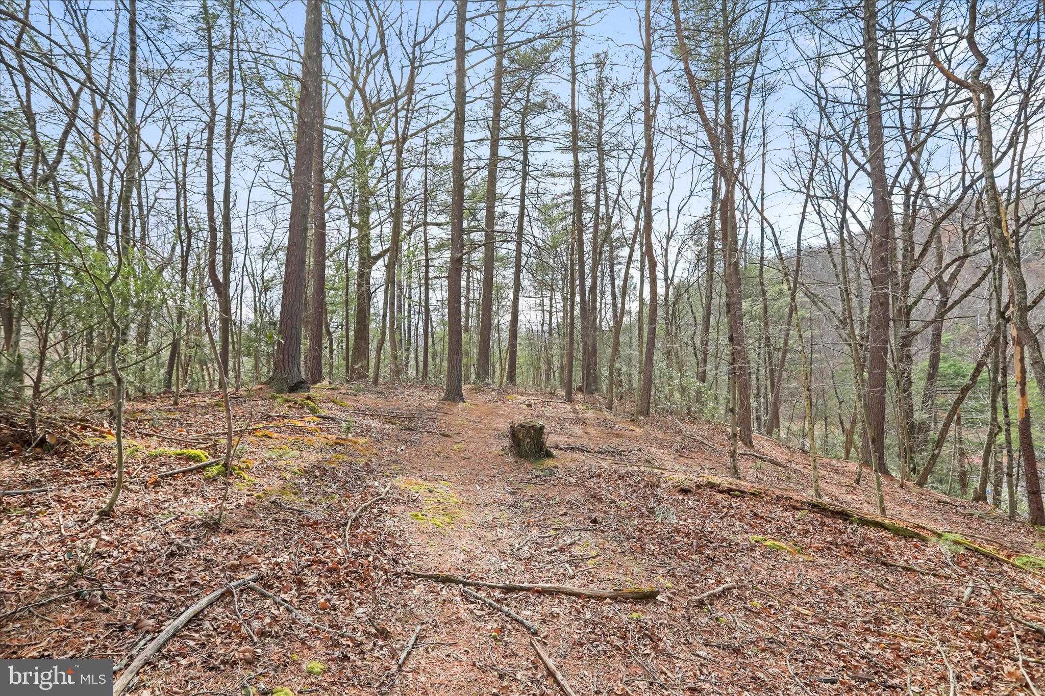 3699 Waites Run Road Wardensville, WV 26851 - Photo 20 of 43 3.8 Acres