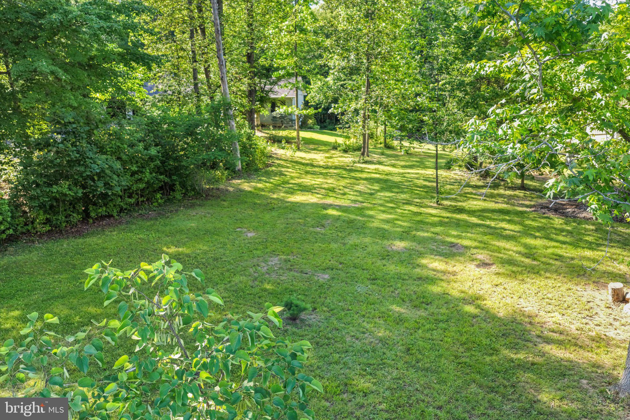 230 Richards Ferry Road Fredericksburg, VA 22406 - Photo 64 of 96 Lush green oasis in a serene setting.