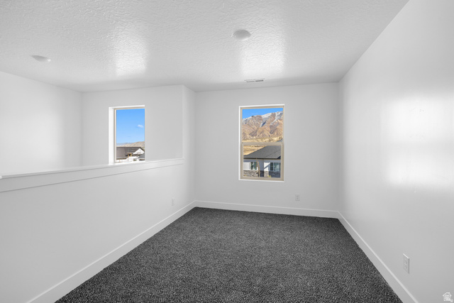 291 North Slant Road, Unit 46M Mapleton, UT 84660 - Photo 8 of 19 Spare room with dark colored carpet and a textured ceiling