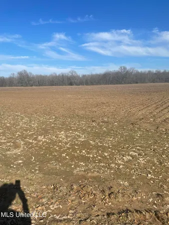 $22,500 | 5177 B Nash Road, Batesville, MS 38606