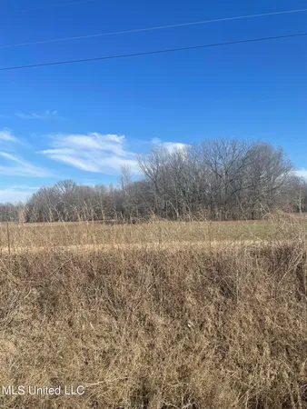 $22,500 | 5177 B Nash Road, Batesville, MS 38606
