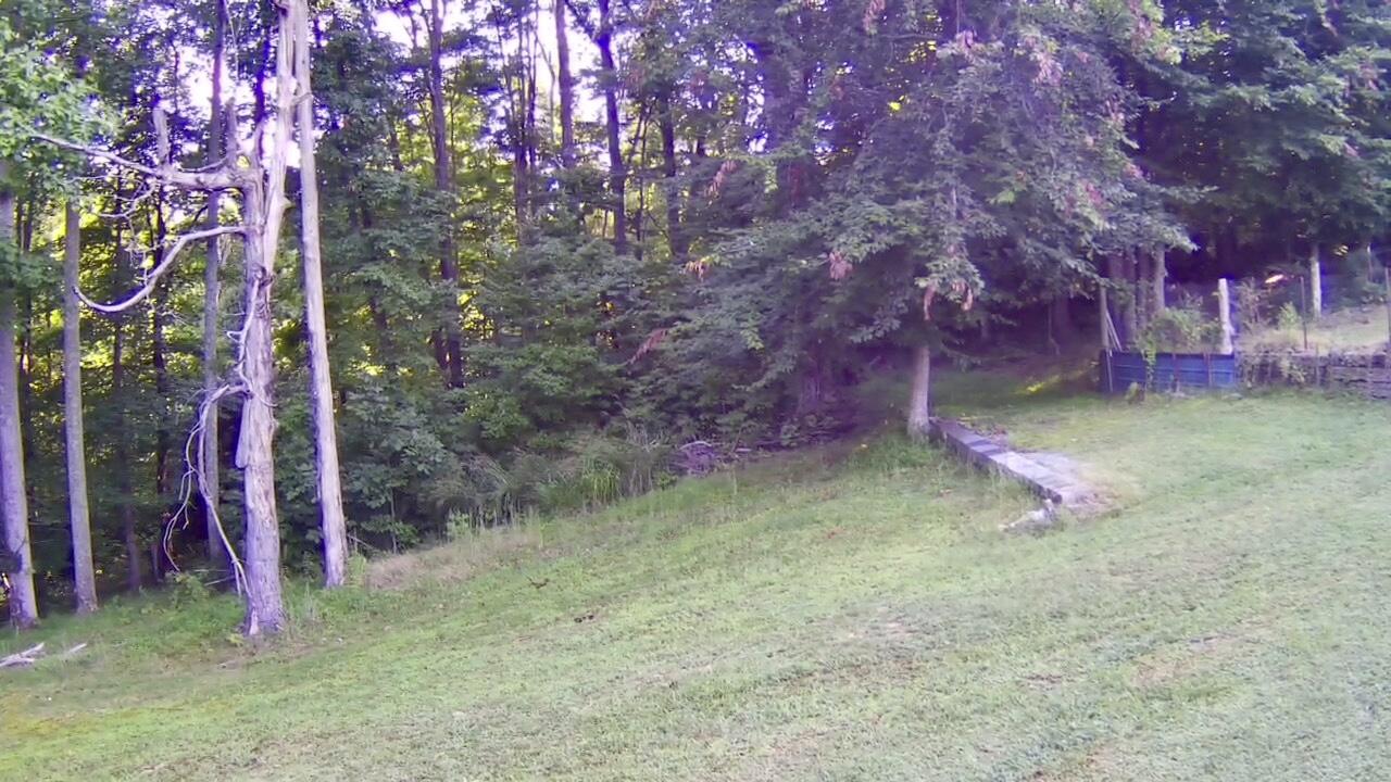 126 Ed King Road Jonesborough, TN 37659 - Photo 56 of 57 49263C3A-EDA3-41D6-AC38-359F9537E35C
