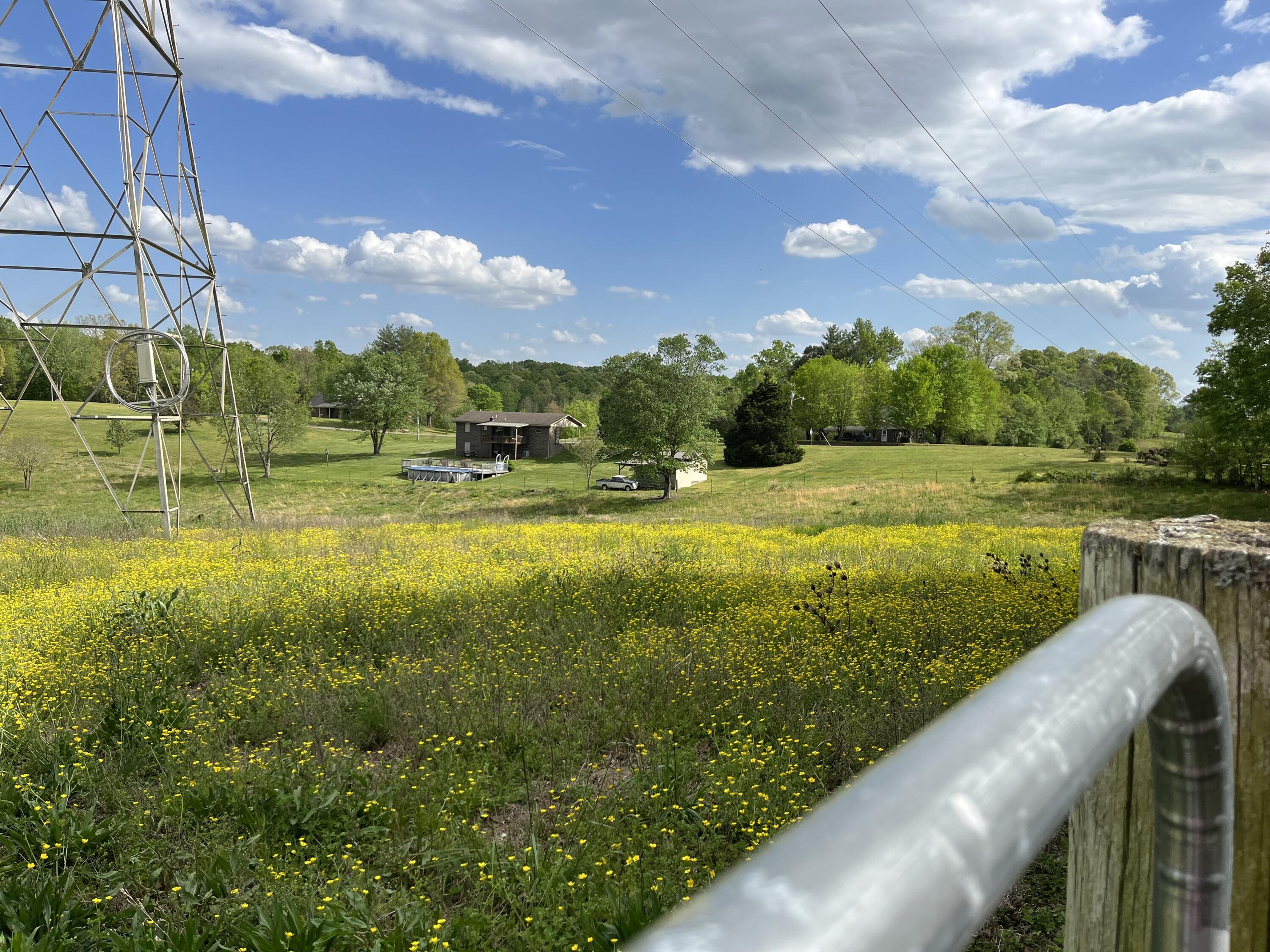1258 River Road Decatur, TN 37322 - Photo 8 of 10 IMG-6730