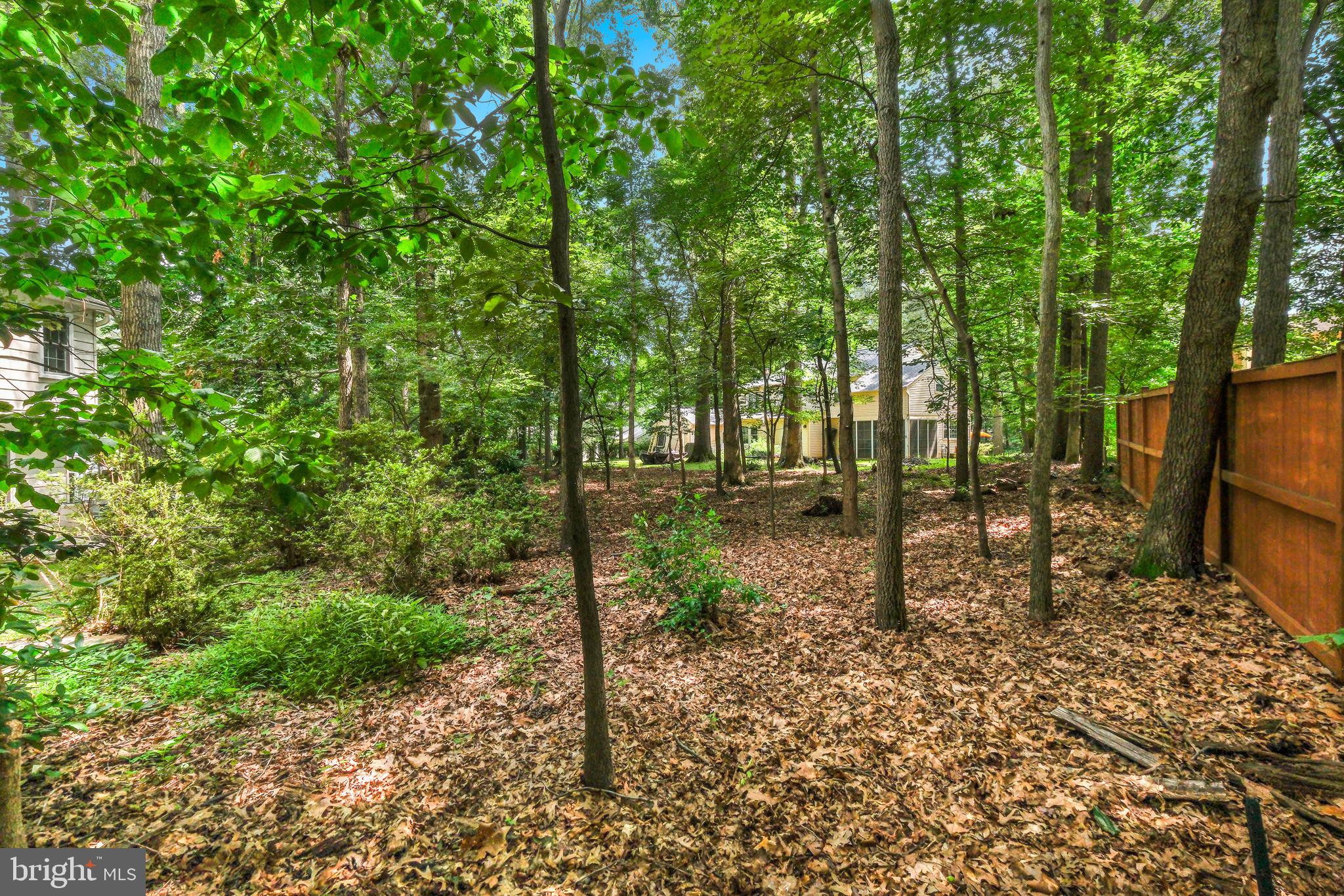 8212 Killean Way Potomac, MD 20854 - Photo 51 of 51 a backyard of a house with lots of green space