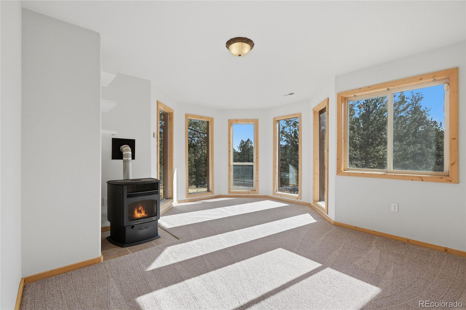 303 Kudu Trail Bailey, CO 80421 - Photo 11 of 48