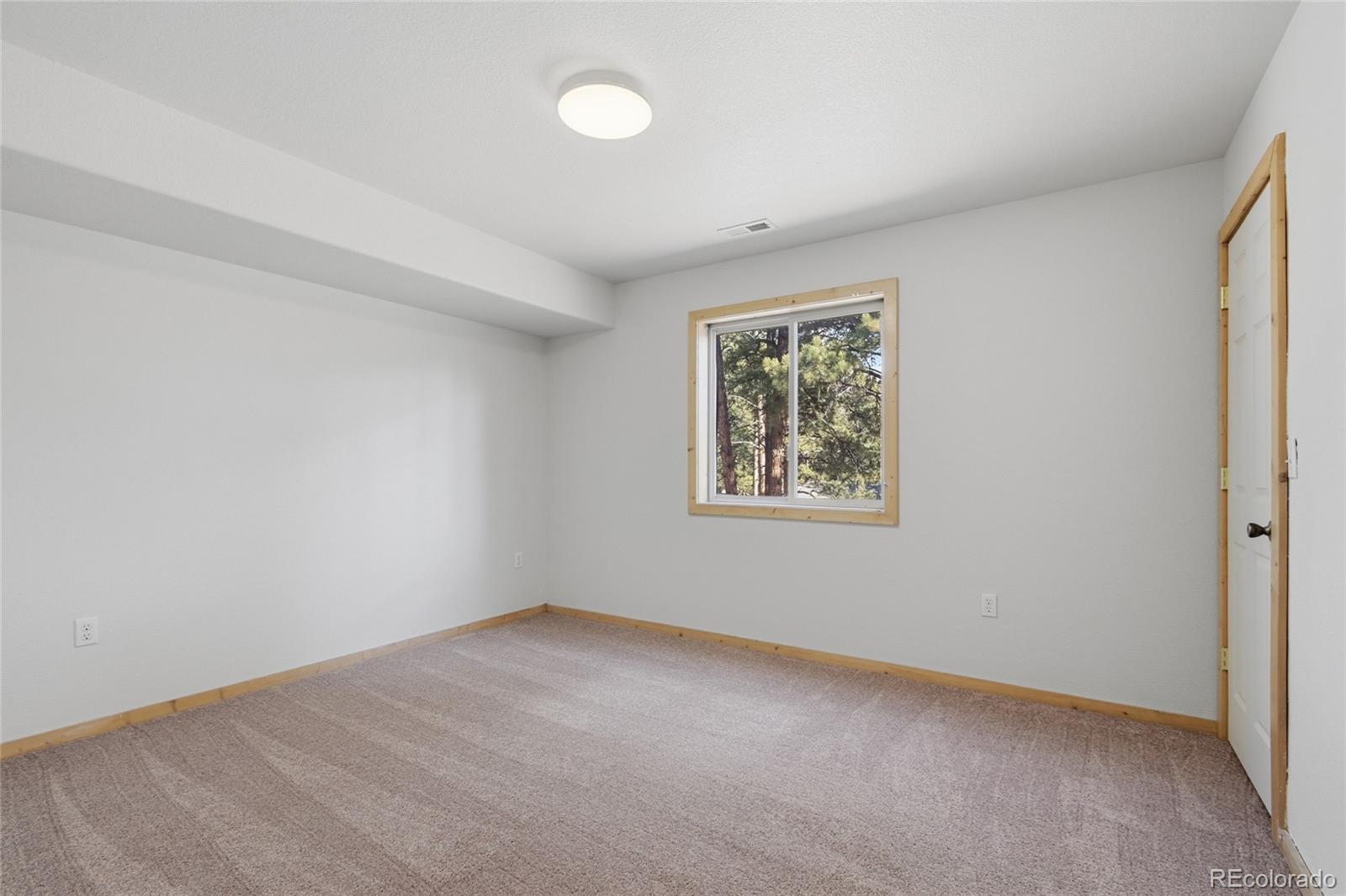 303 Kudu Trail Bailey, CO 80421 - Photo 12 of 48