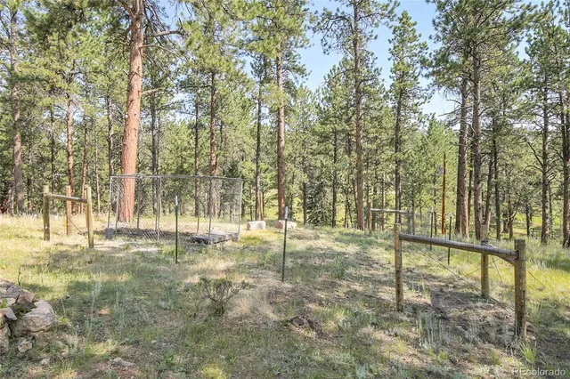 $575,000 | 303 Kudu Trail, Bailey, CO 80421