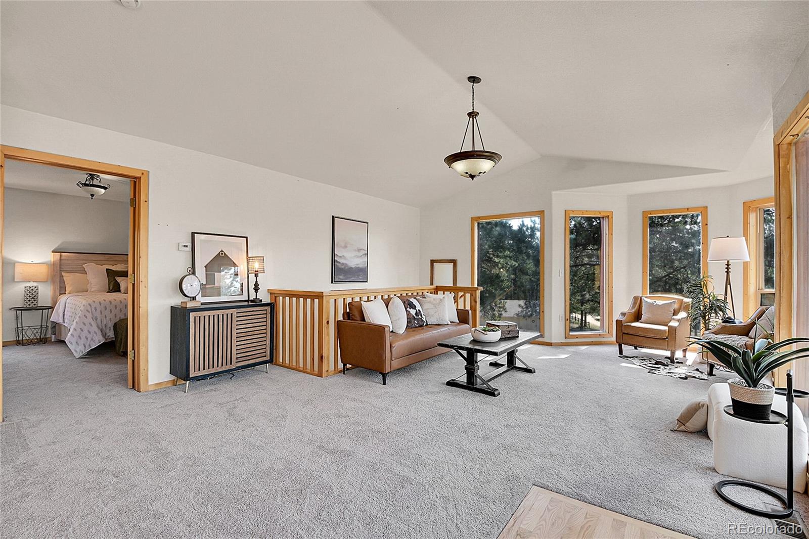 303 Kudu Trail Bailey, CO 80421 - Photo 26 of 48
