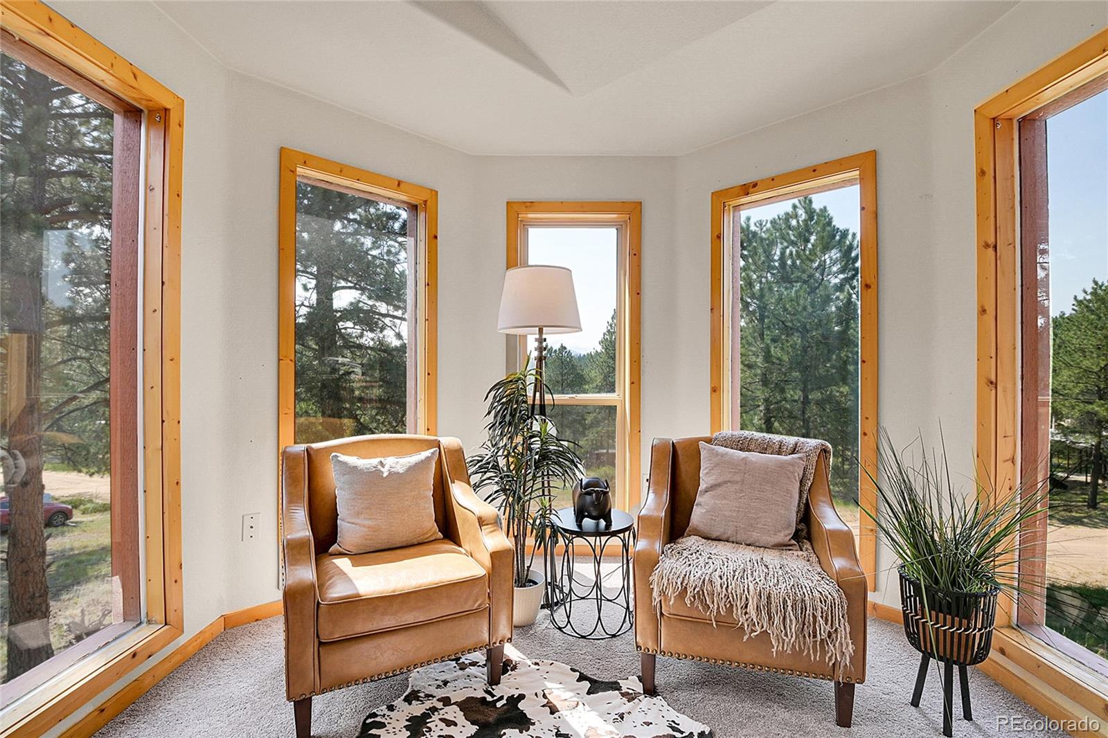 303 Kudu Trail Bailey, CO 80421 - Photo 28 of 48