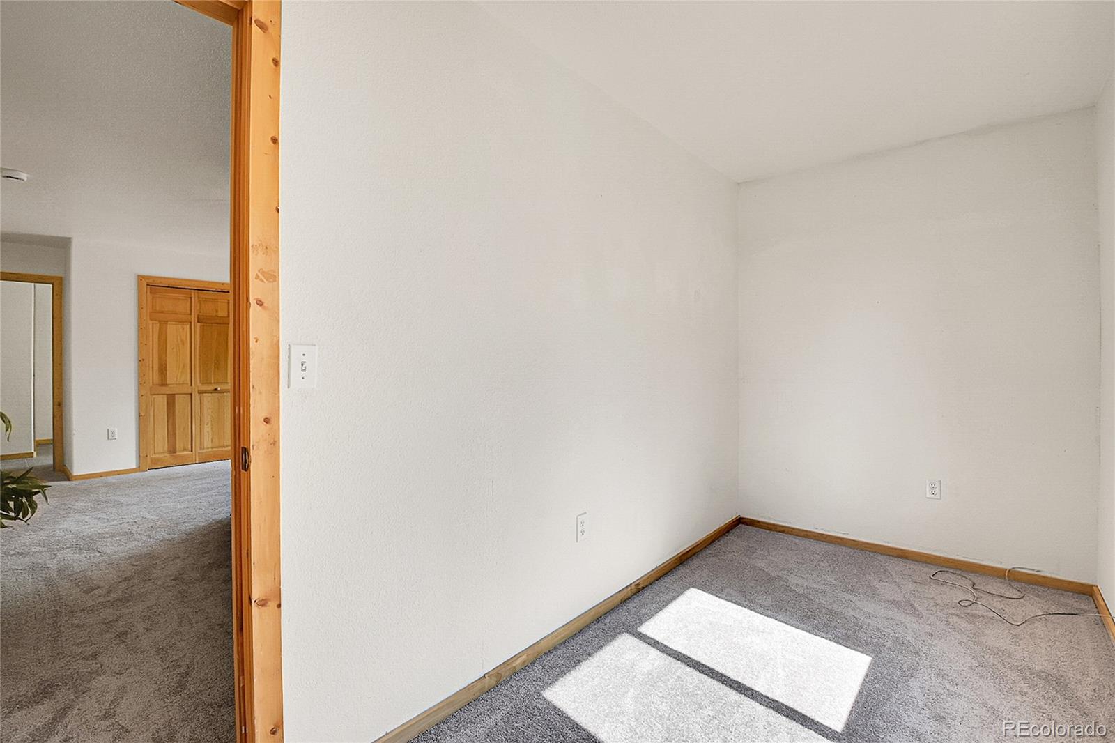 303 Kudu Trail Bailey, CO 80421 - Photo 32 of 48
