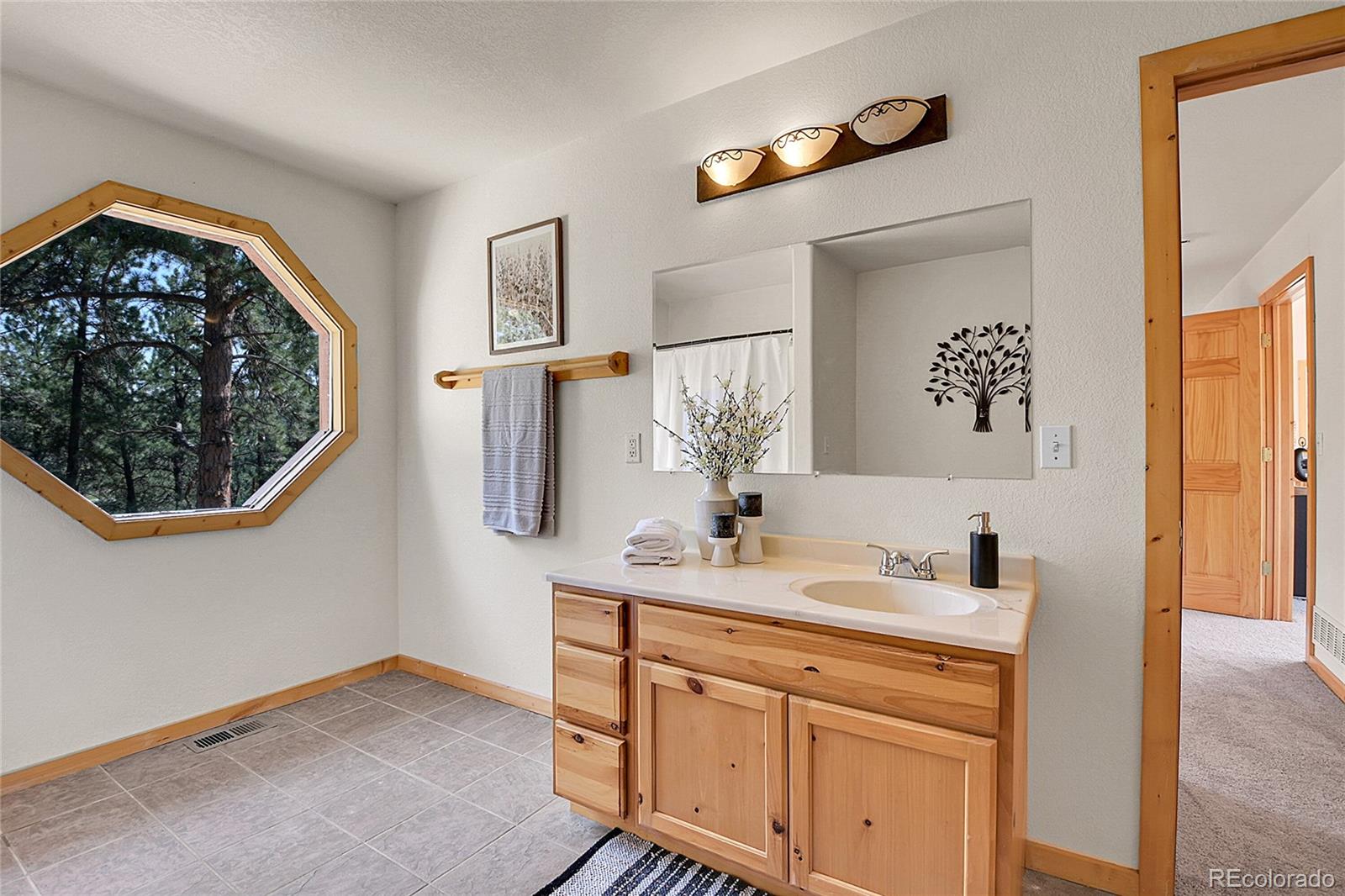 303 Kudu Trail Bailey, CO 80421 - Photo 33 of 48