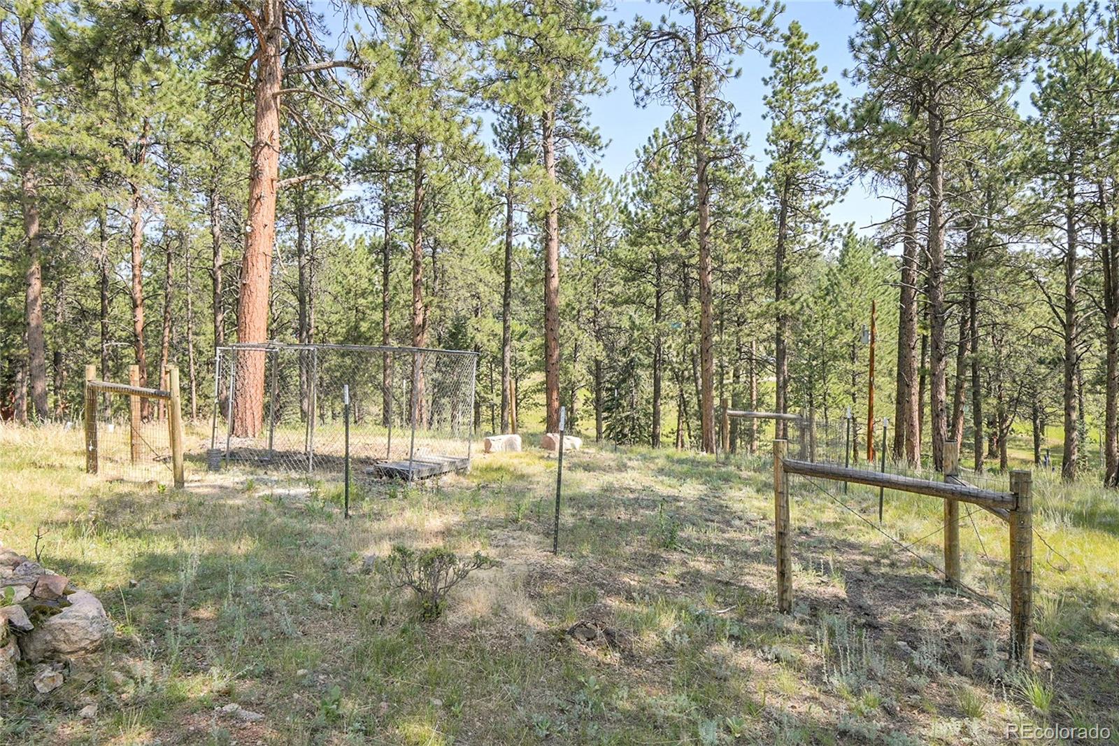303 Kudu Trail Bailey, CO 80421 - Photo 42 of 48
