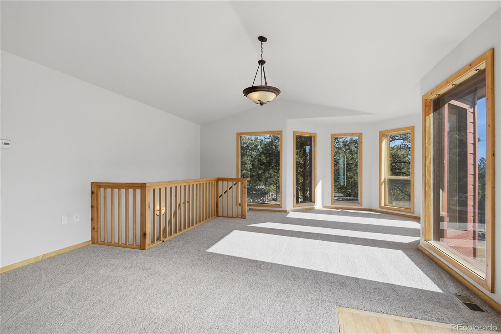 303 Kudu Trail Bailey, CO 80421 - Photo 5 of 48