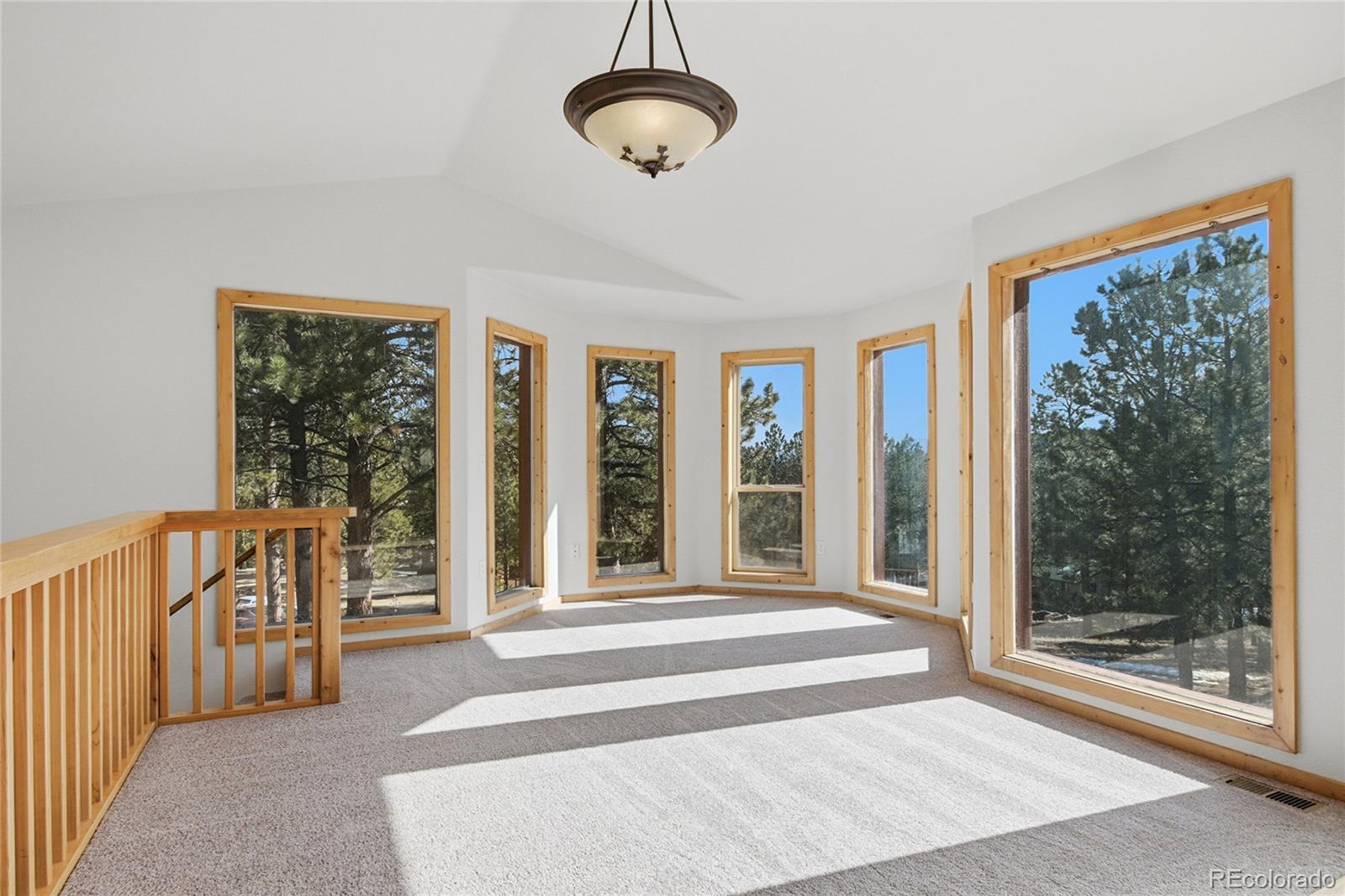 303 Kudu Trail Bailey, CO 80421 - Photo 6 of 48