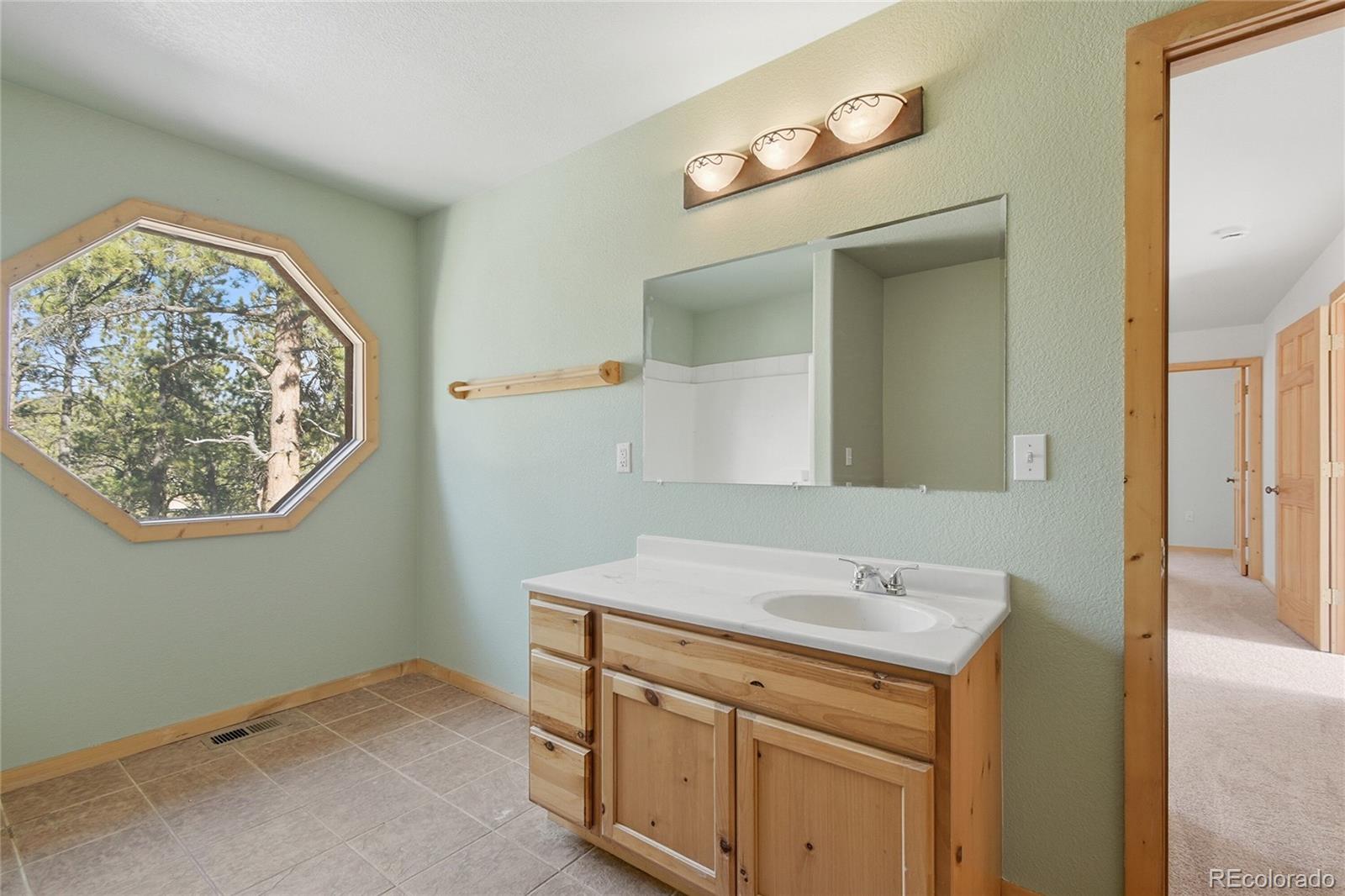 303 Kudu Trail Bailey, CO 80421 - Photo 9 of 48