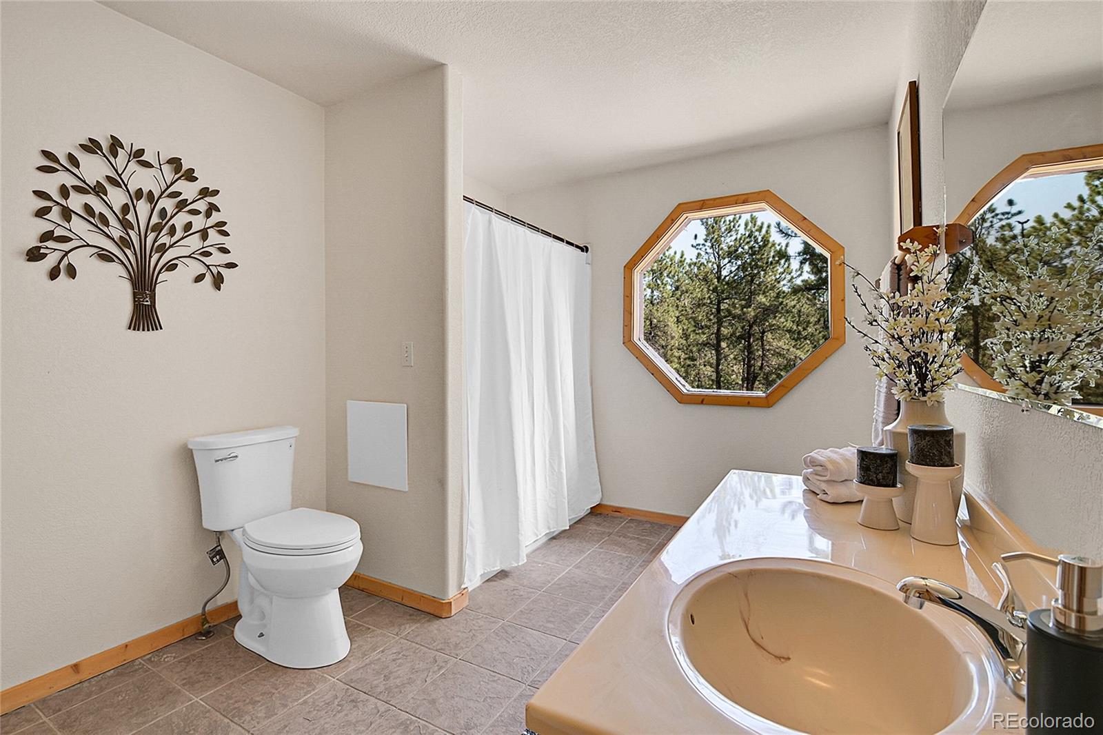 303 Kudu Trail Bailey, CO 80421 - Photo 10 of 48