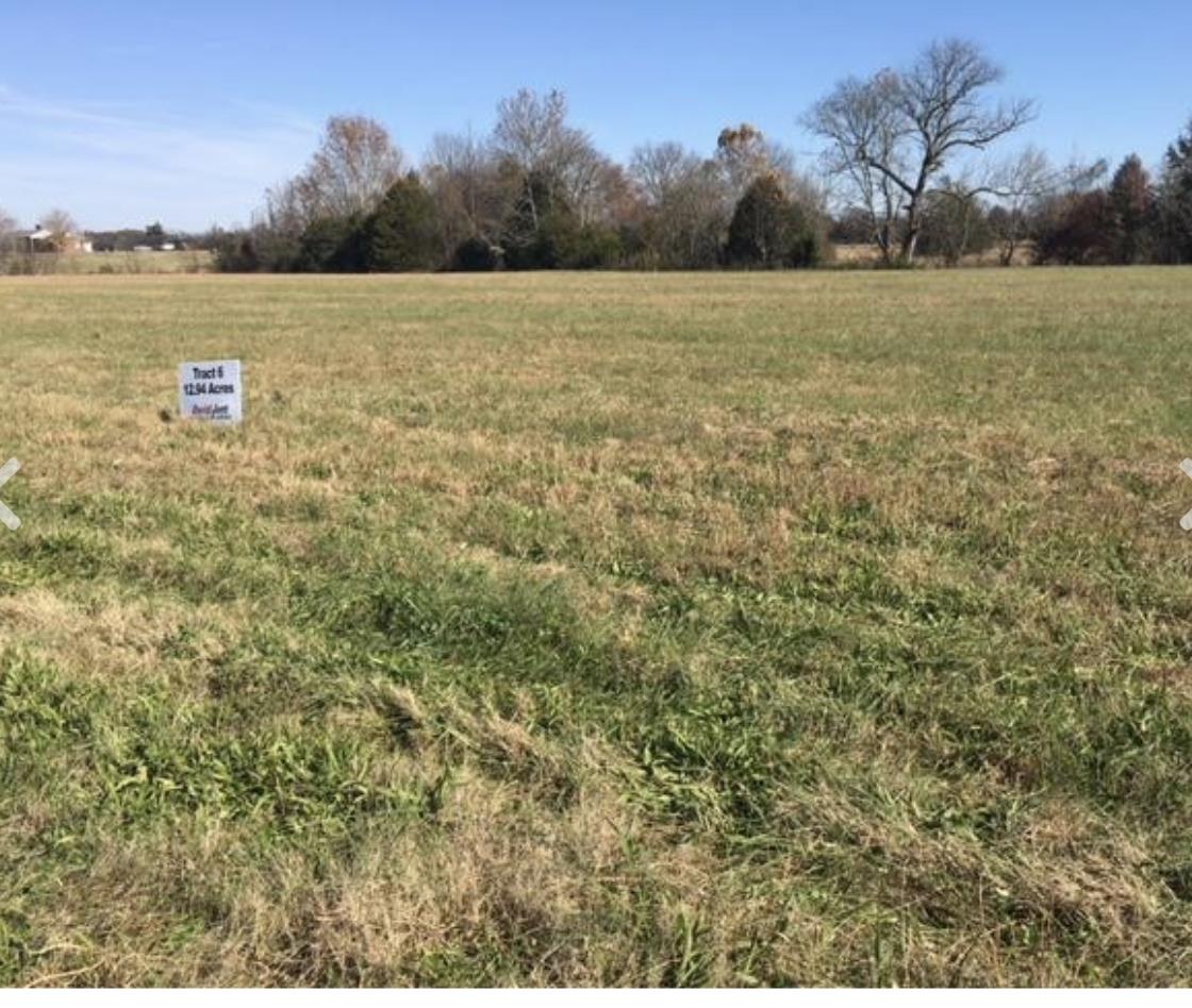 0 Smiley Road Chapel Hill, TN 37034 - Photo 1 of 3 Gallery Image 1
