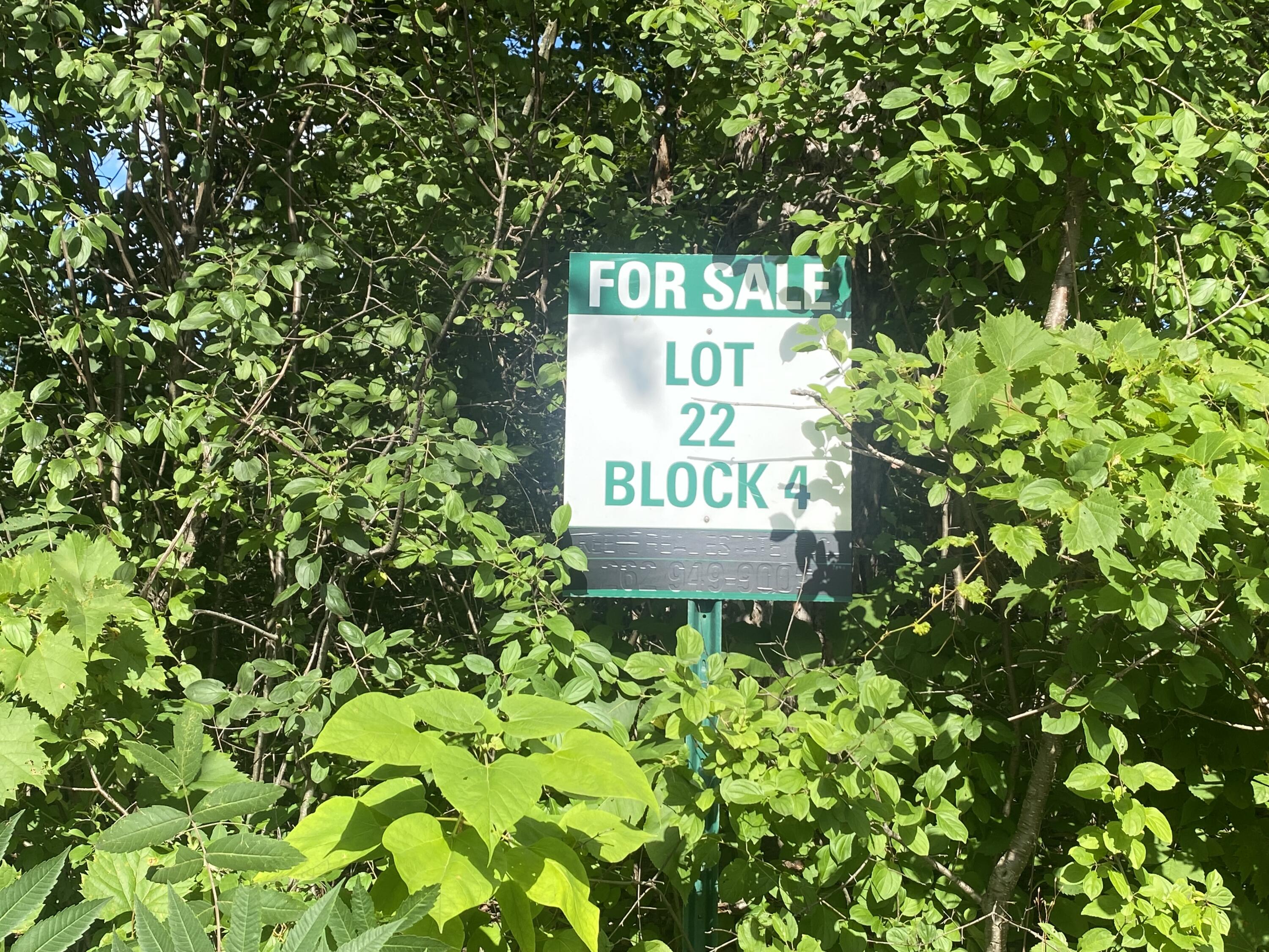 Lt22 Linn Road, Unit BLK4 Linn, WI 53147 - Photo 1 of 1 IMG-8374