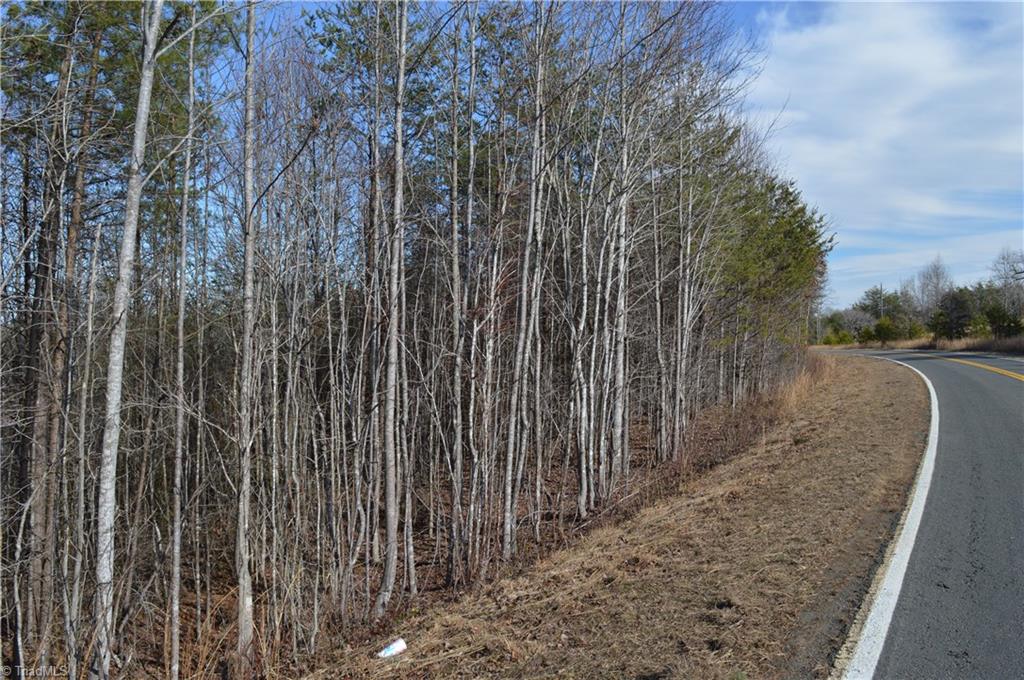 20.34-acres Beasley School Road Sandy Ridge, NC 27046 - Photo 1 of 19