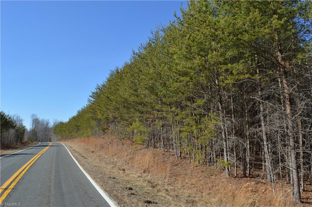 20.34-acres Beasley School Road Sandy Ridge, NC 27046 - Photo 2 of 19