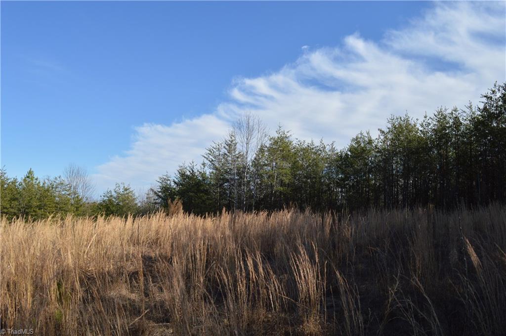 20.34-acres Beasley School Road Sandy Ridge, NC 27046 - Photo 12 of 19