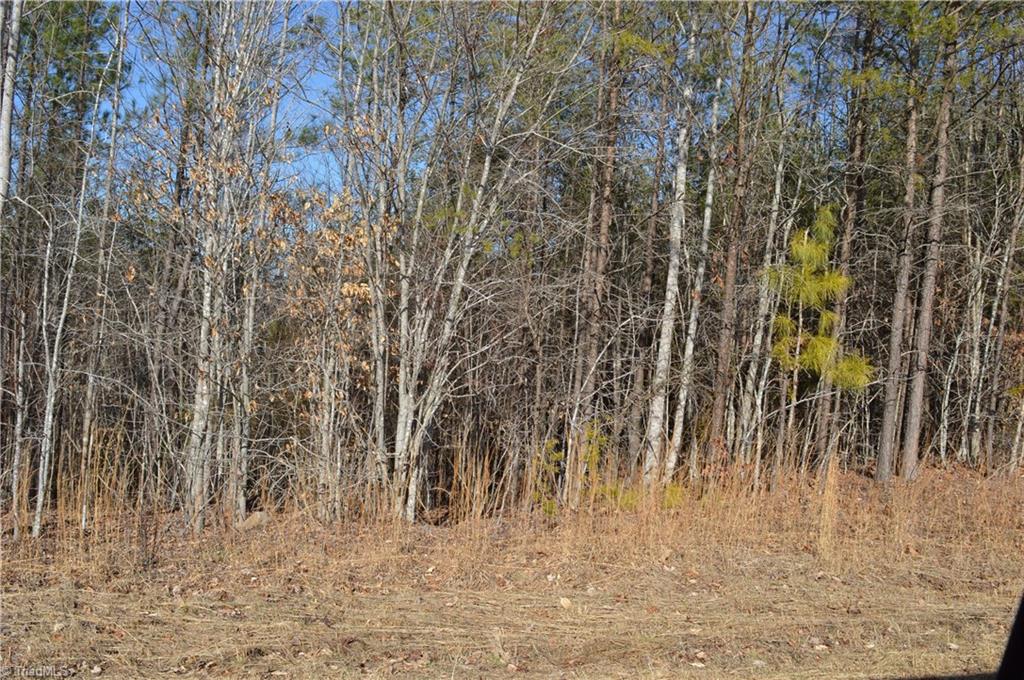 20.34-acres Beasley School Road Sandy Ridge, NC 27046 - Photo 13 of 19