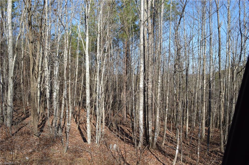 20.34-acres Beasley School Road Sandy Ridge, NC 27046 - Photo 14 of 19