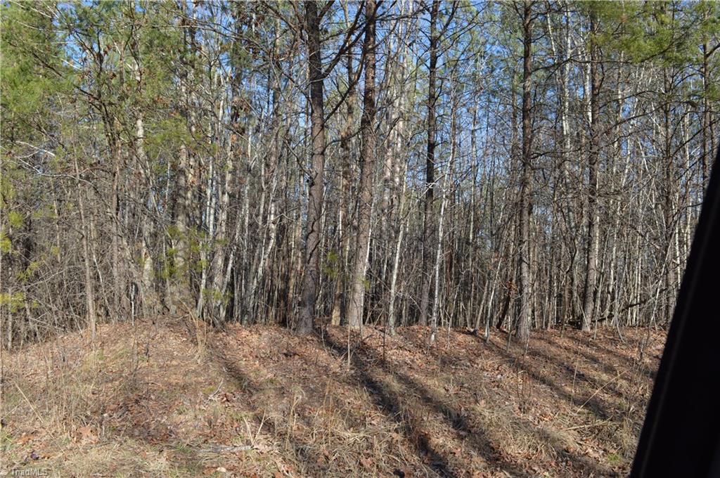 20.34-acres Beasley School Road Sandy Ridge, NC 27046 - Photo 15 of 19