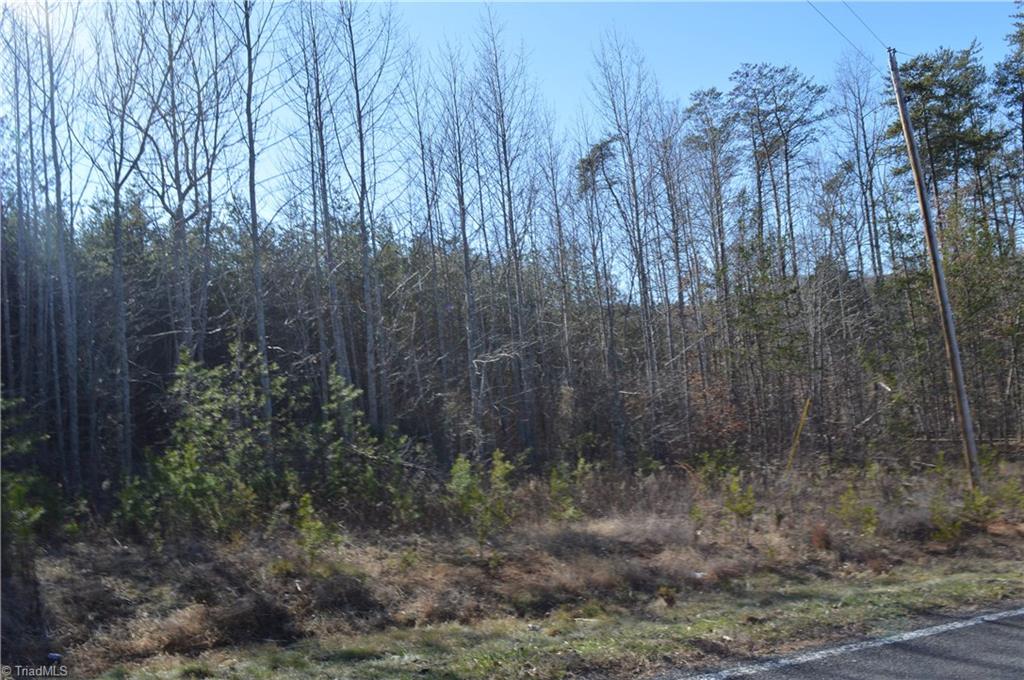 20.34-acres Beasley School Road Sandy Ridge, NC 27046 - Photo 16 of 19