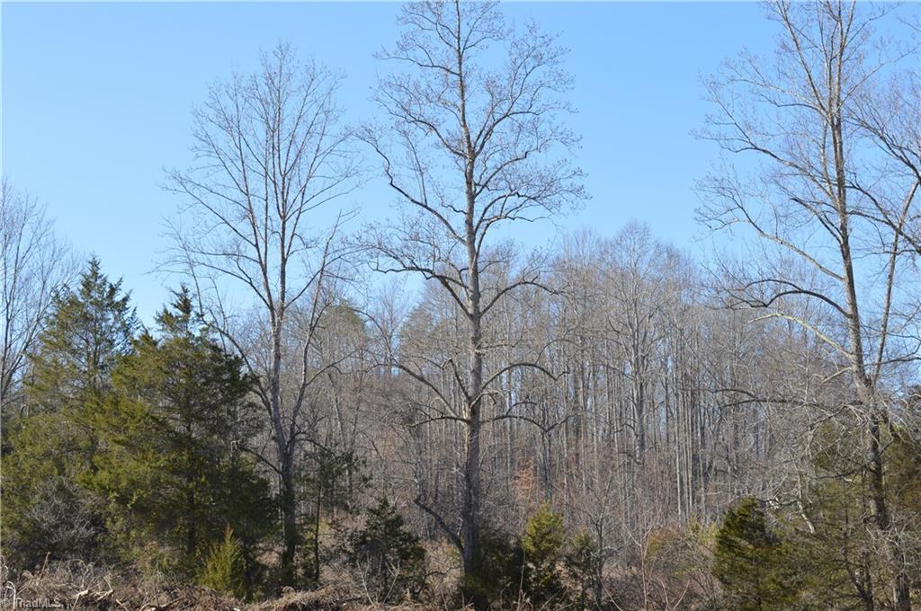20.34-acres Beasley School Road Sandy Ridge, NC 27046 - Photo 17 of 19
