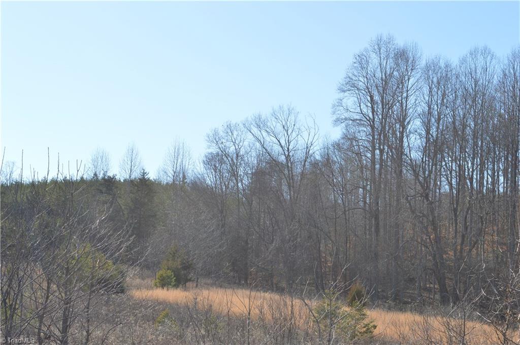 20.34-acres Beasley School Road Sandy Ridge, NC 27046 - Photo 18 of 19