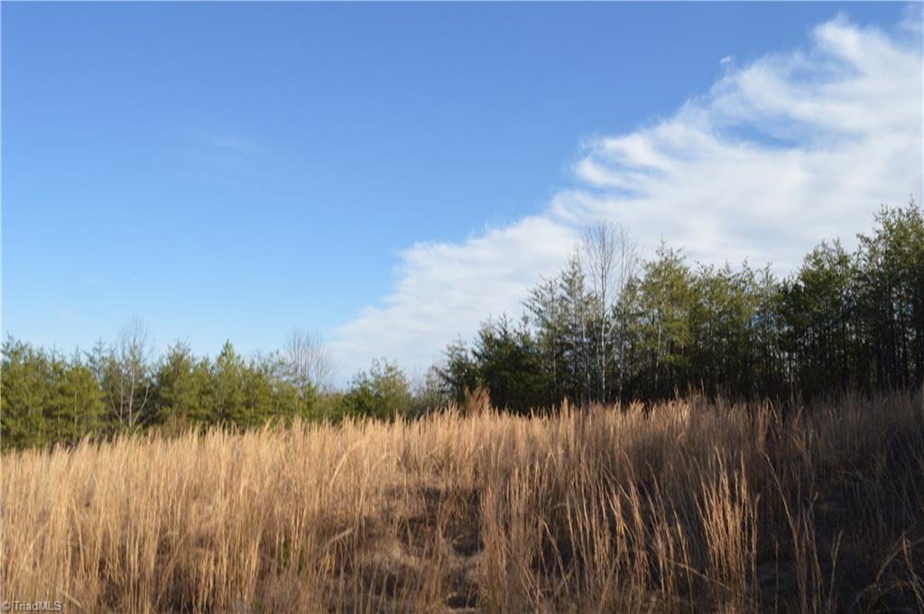 20.34-acres Beasley School Road Sandy Ridge, NC 27046 - Photo 3 of 19
