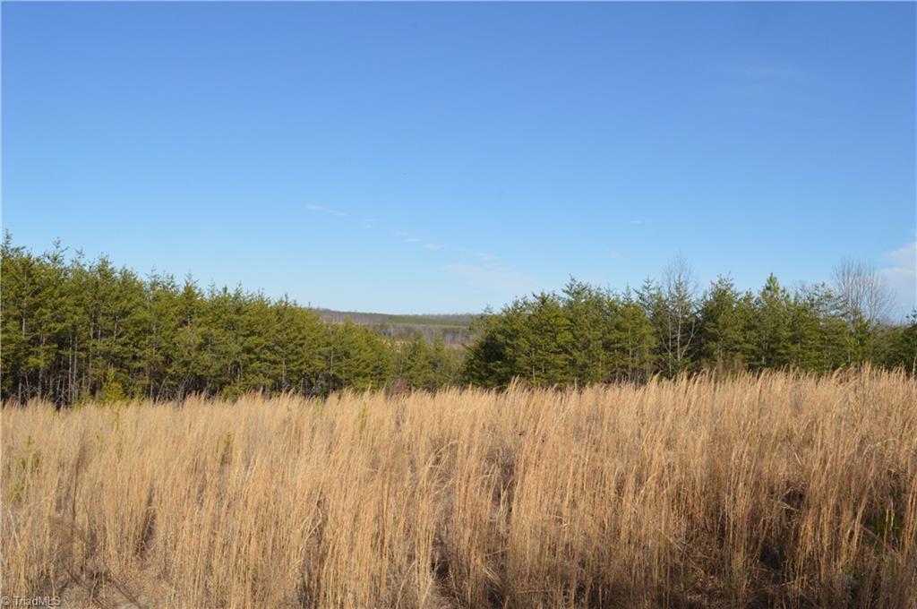 20.34-acres Beasley School Road Sandy Ridge, NC 27046 - Photo 5 of 19