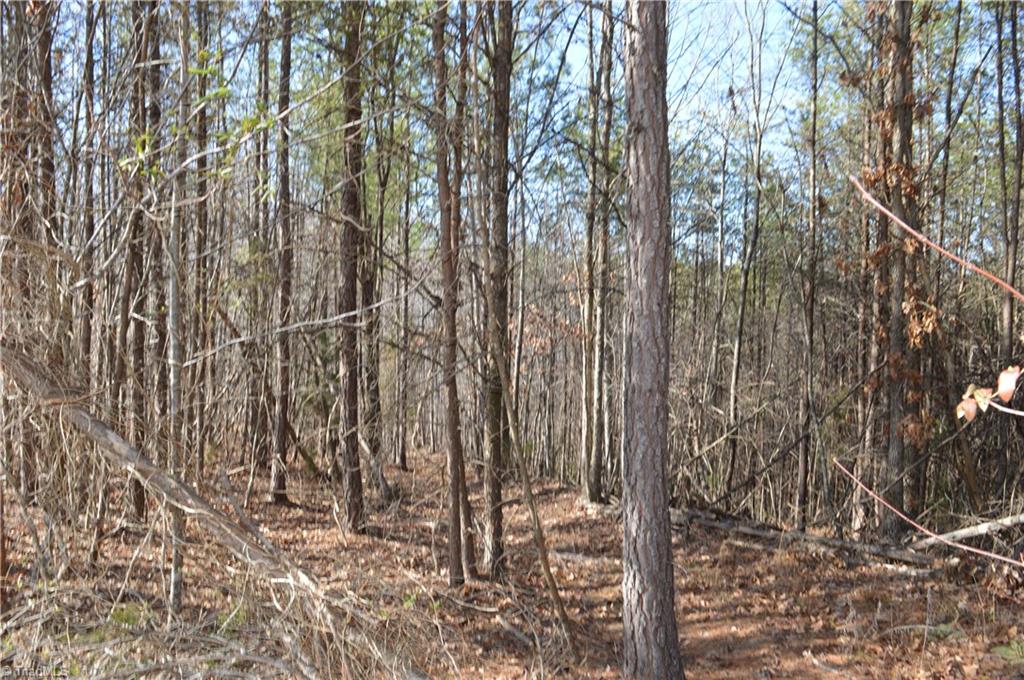20.34-acres Beasley School Road Sandy Ridge, NC 27046 - Photo 7 of 19