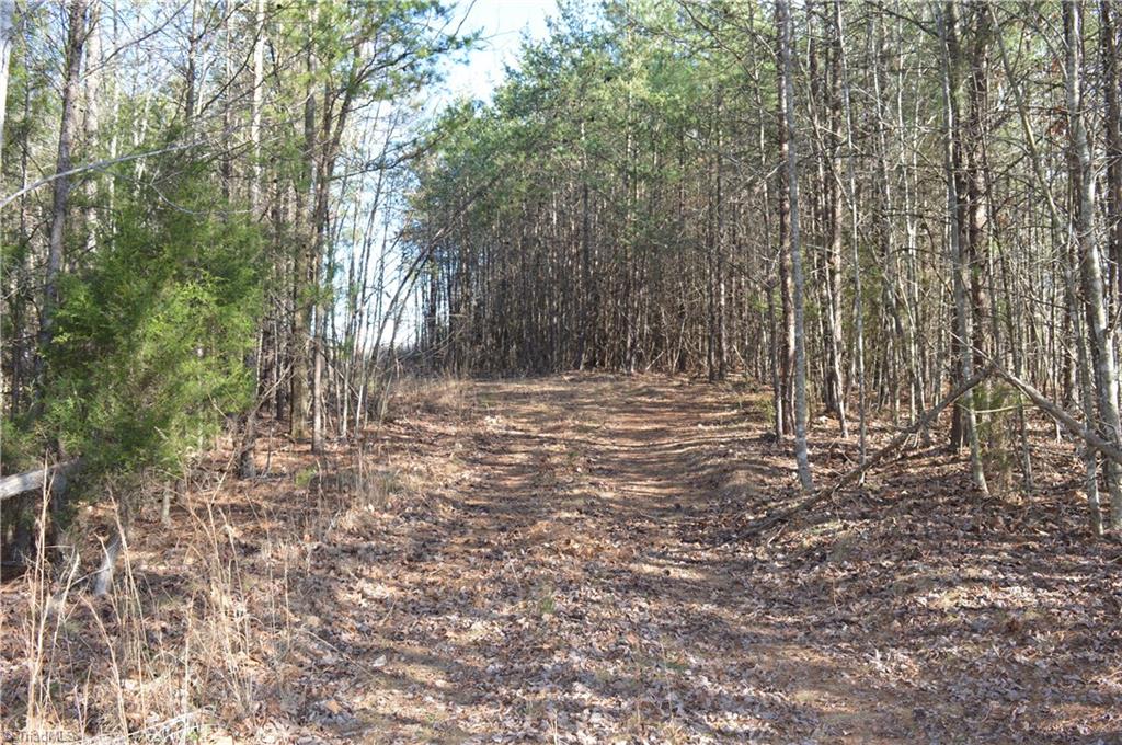 20.34-acres Beasley School Road Sandy Ridge, NC 27046 - Photo 8 of 19
